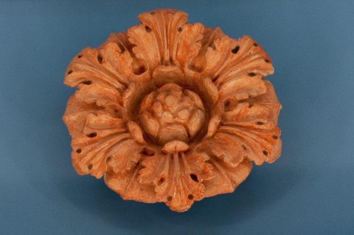 Flowers of about 1.5m diametre