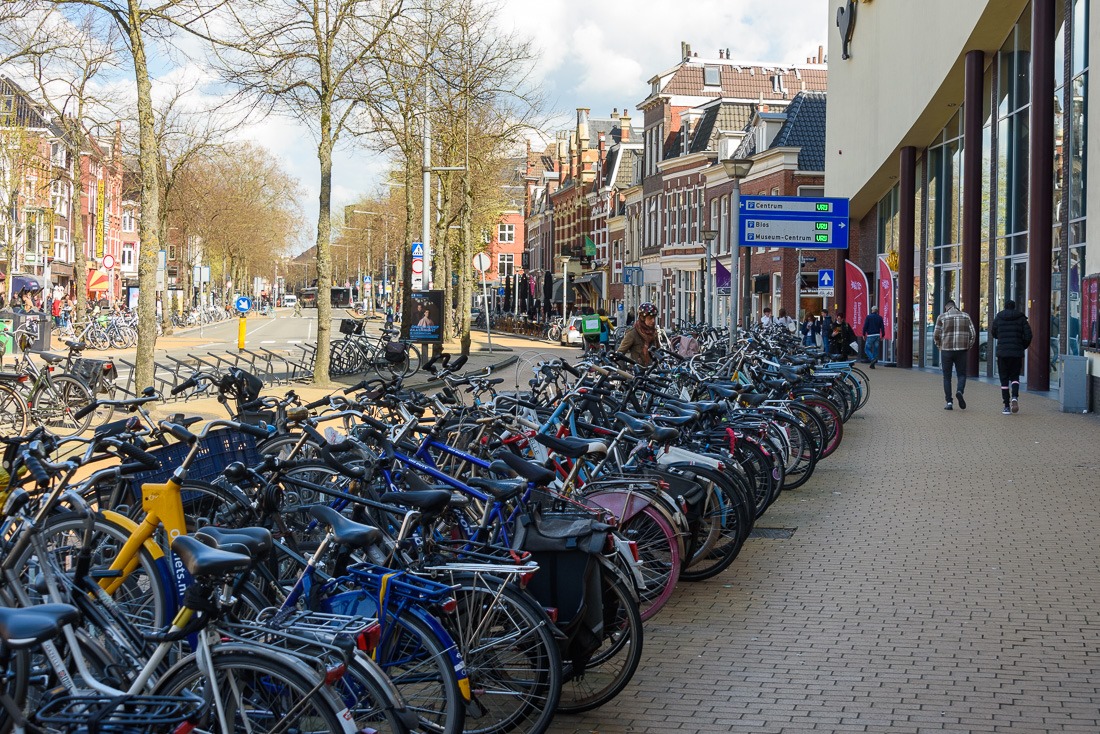 Bikes galore Bikes galore