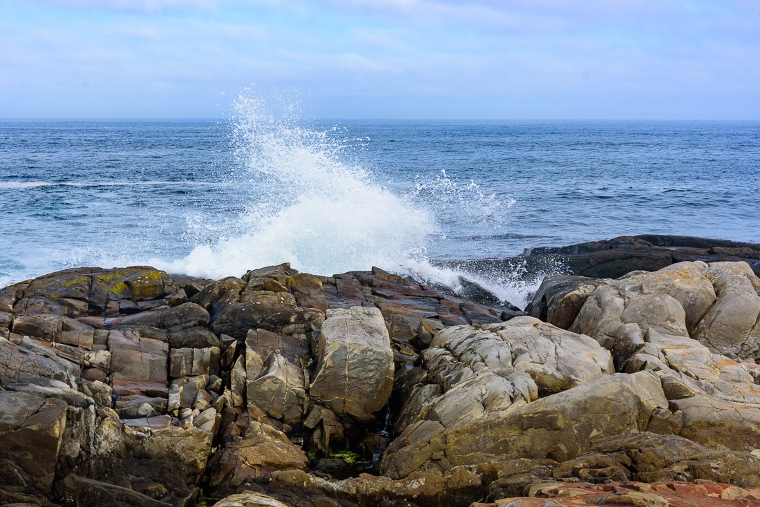 Rock-shredder Rock-shredder