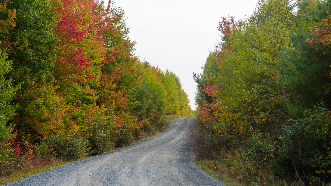 Out and about Out and about