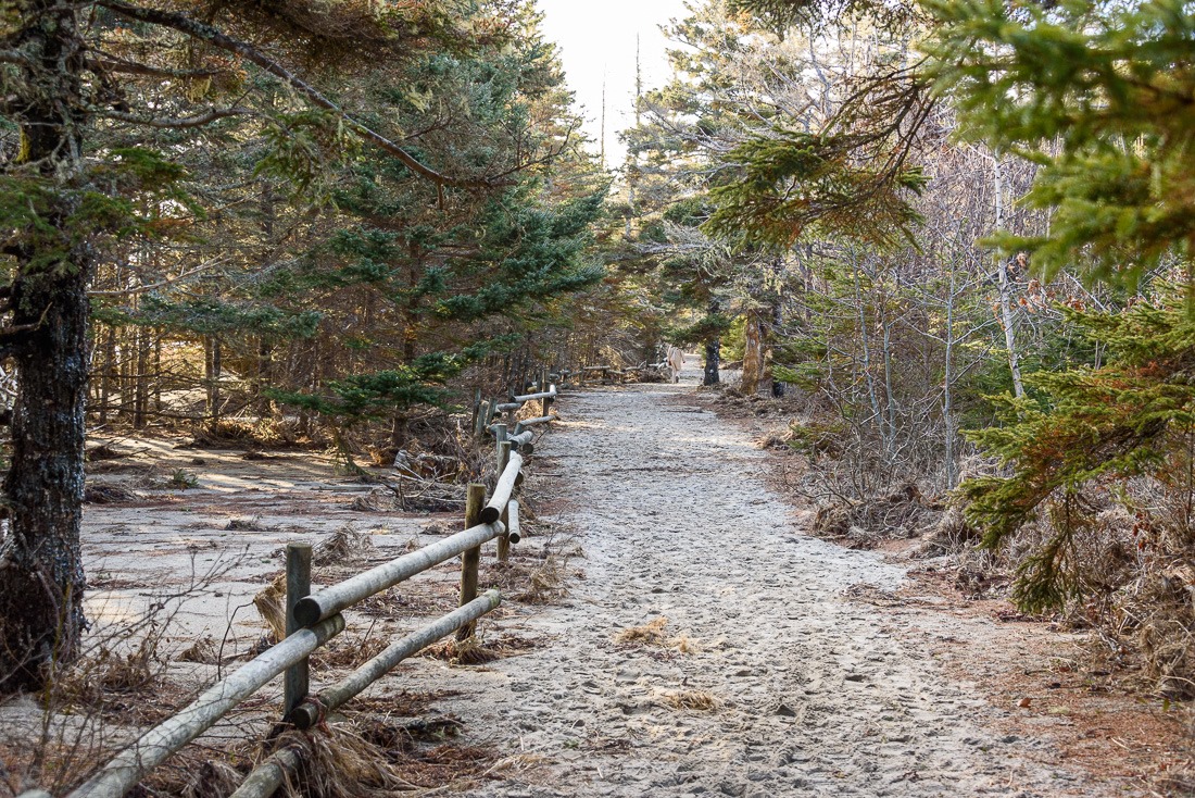 Risser's Park Risser's Park