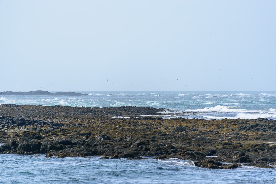 Conflicting currents and winds Conflicting currents and winds