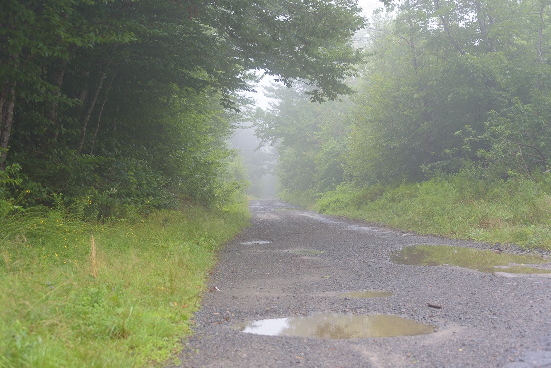 Foggy road Foggy road