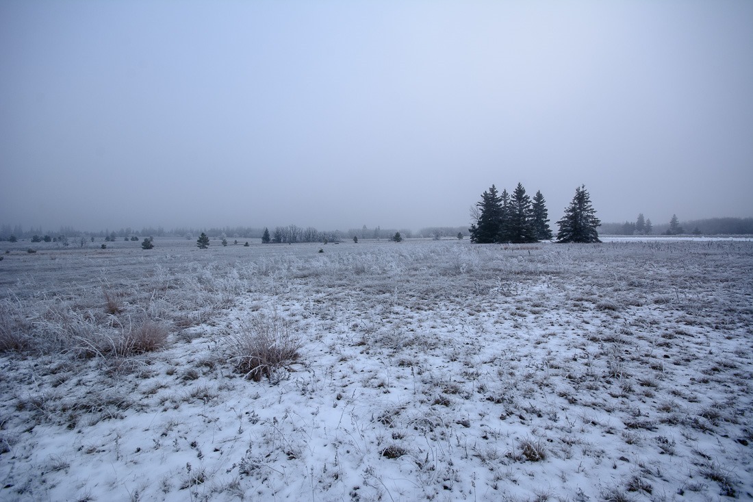 Nothingness Nothingness