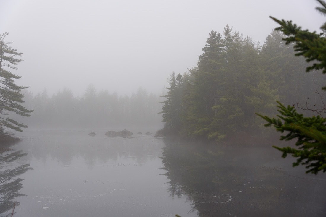 Dull or moody? Dull or moody?