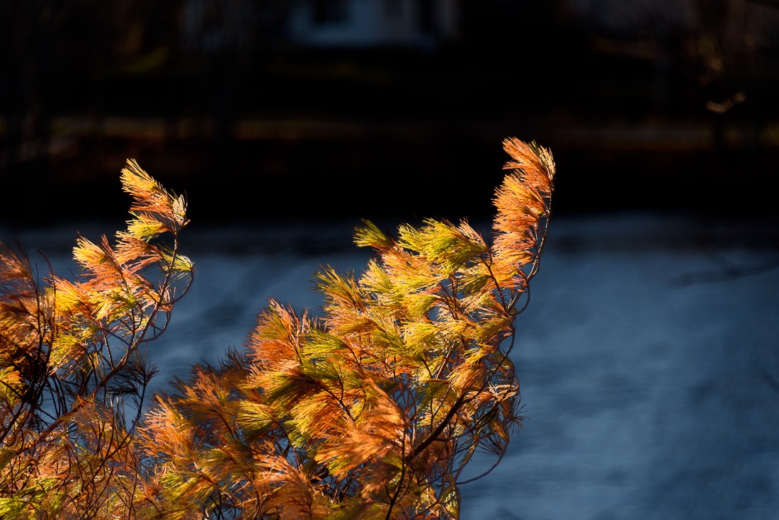 Splash of colour Splash of colour