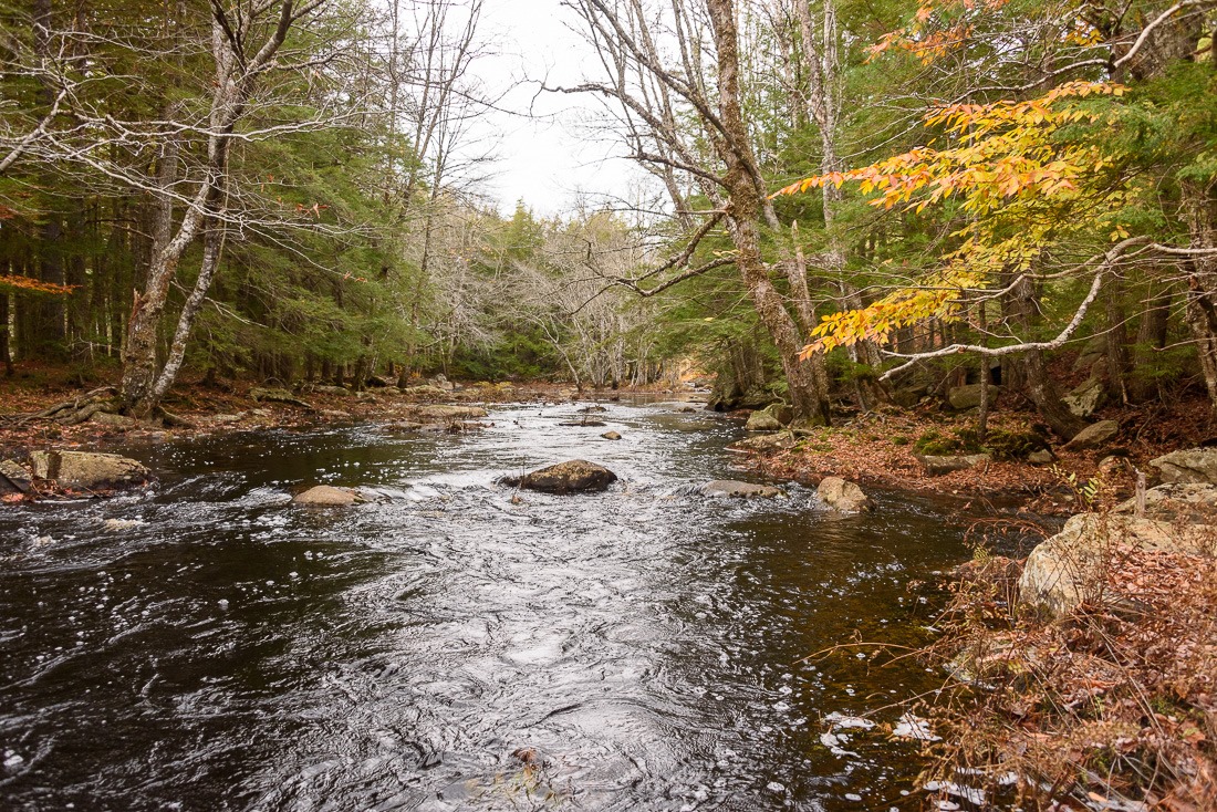 Inviting, right? Inviting, right?