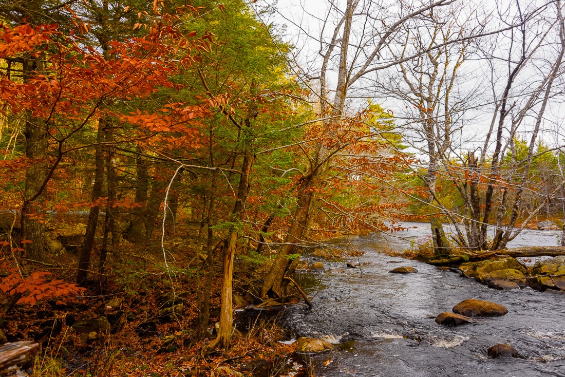 Along the Medway River Along the Medway River