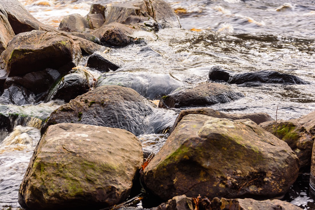 Not suitable for swimming Not suitable for swimming