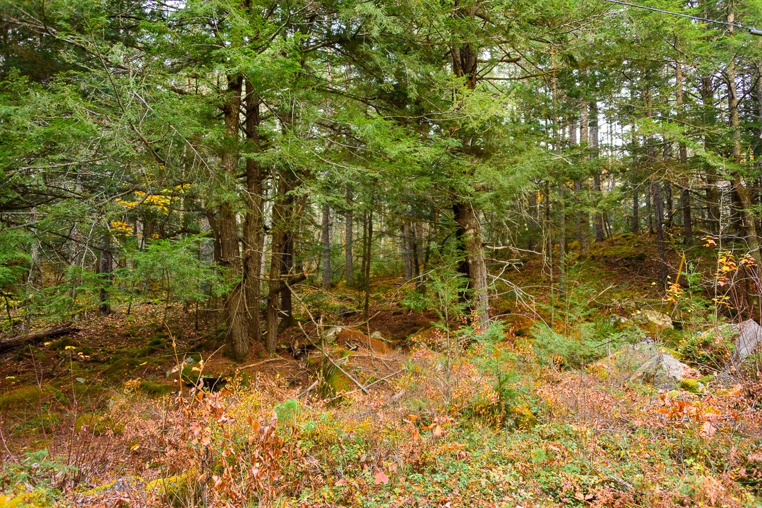 Uphill view Uphill view