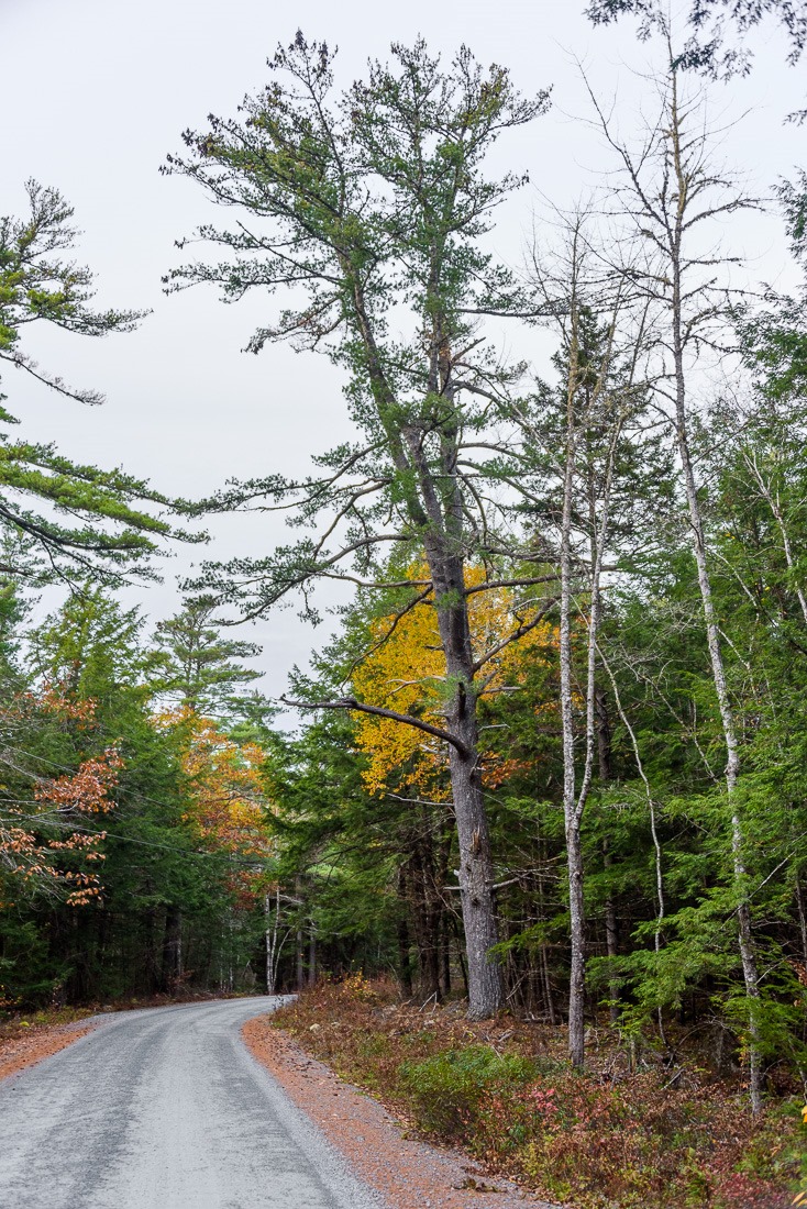 Road redone, now great Road redone, now great