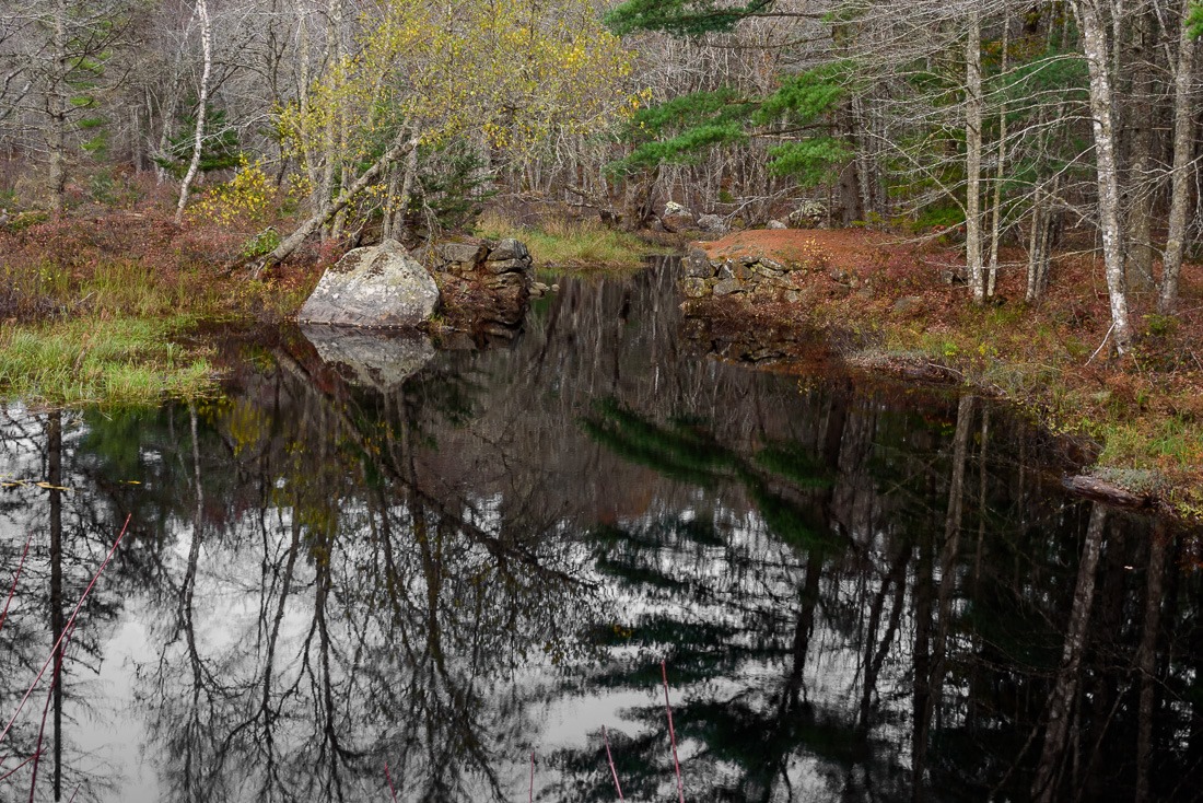 Ancient activity Ancient activity