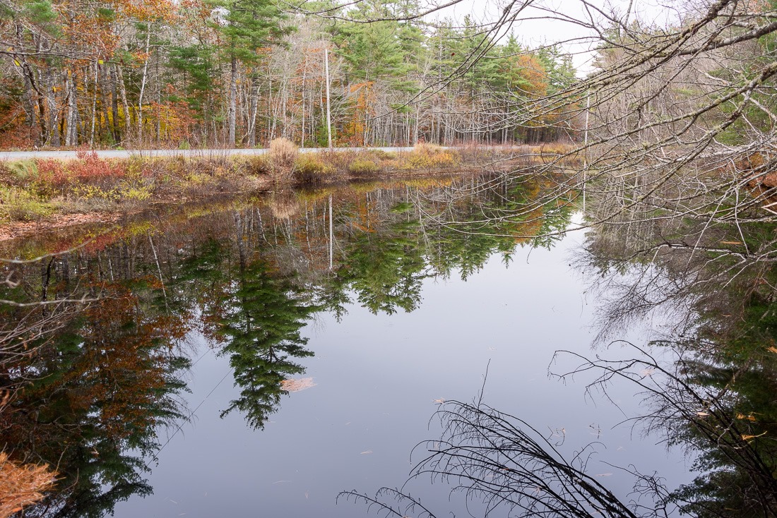 Reflections Reflections