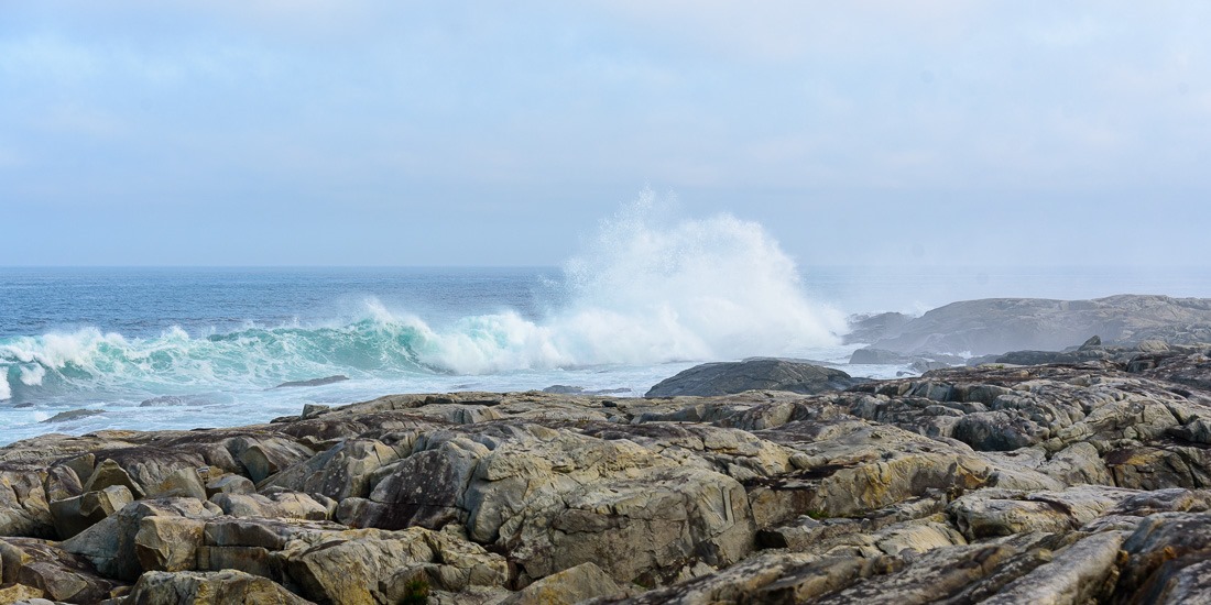 Ernesto on the rocks Ernesto on the rocks