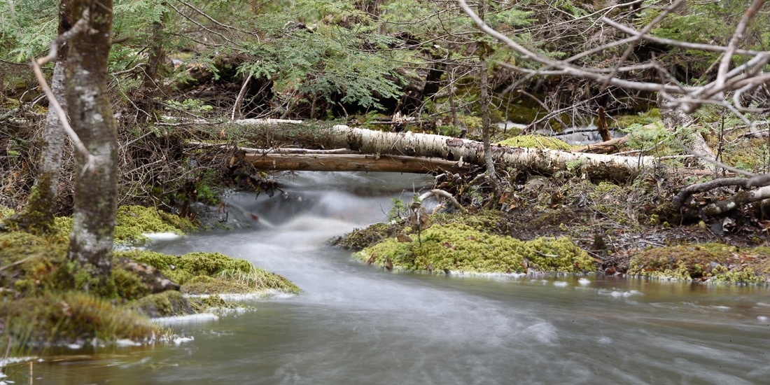 Out in the boonies Out in the boonies