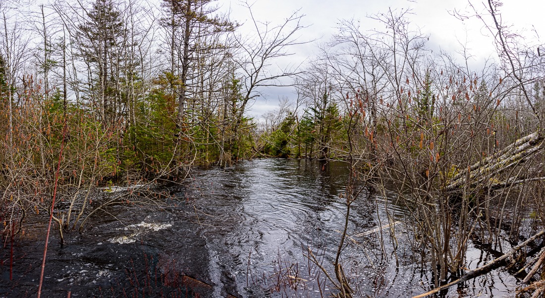 Out in the boonies Out in the boonies