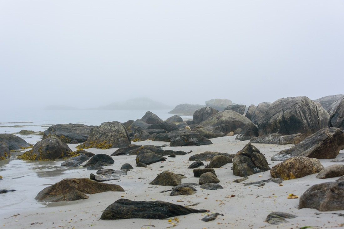 Thomas H Raddall Park Thomas H Raddall Park