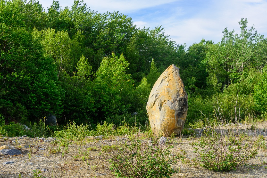 Native or imported by ice? Native or imported by ice?