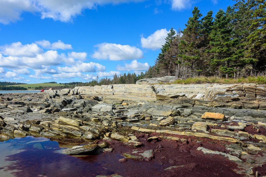 Rissers Beach Rissers Beach