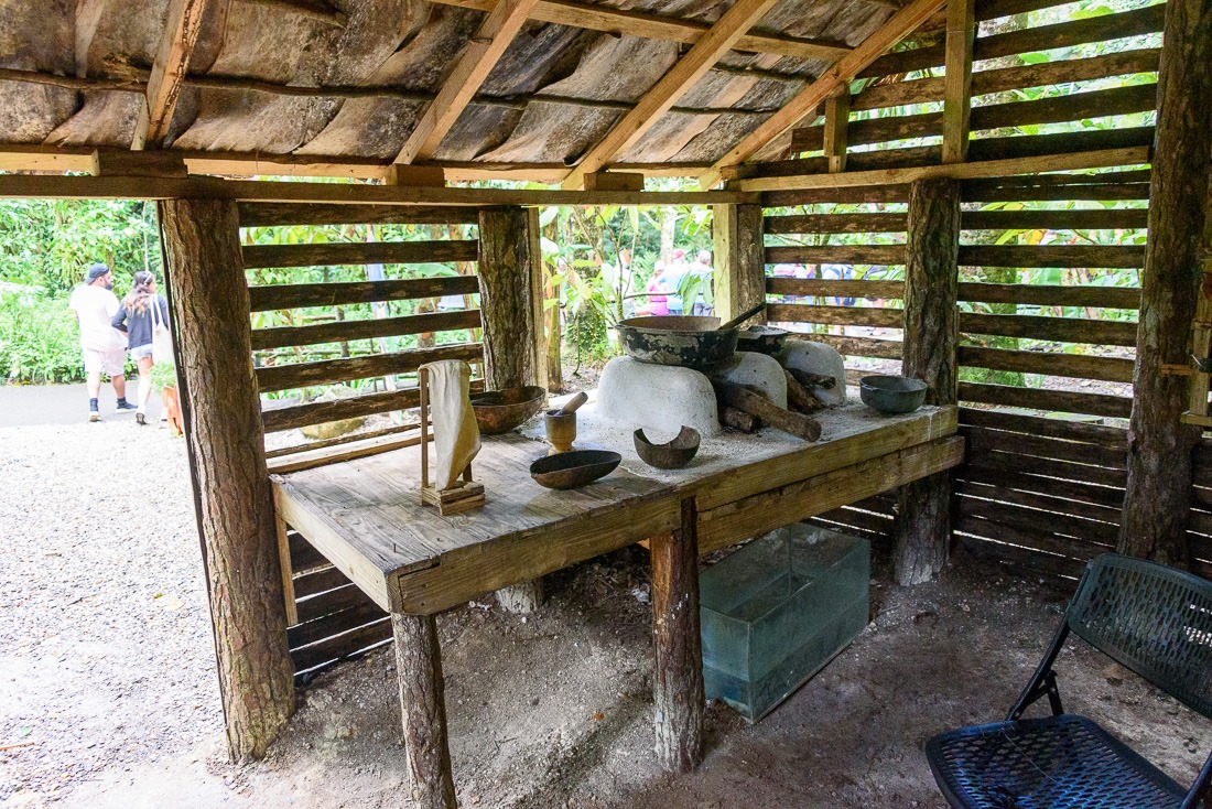 Habitacion Tipica Habitacion Tipica