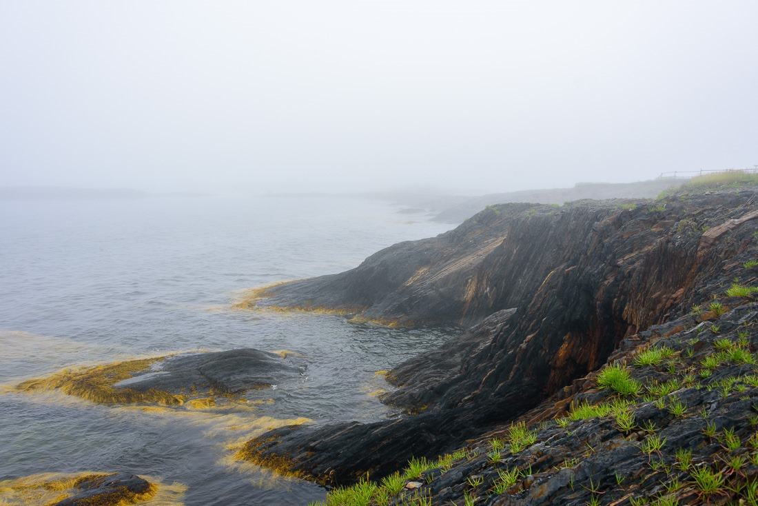 Misty coastline Misty coastline