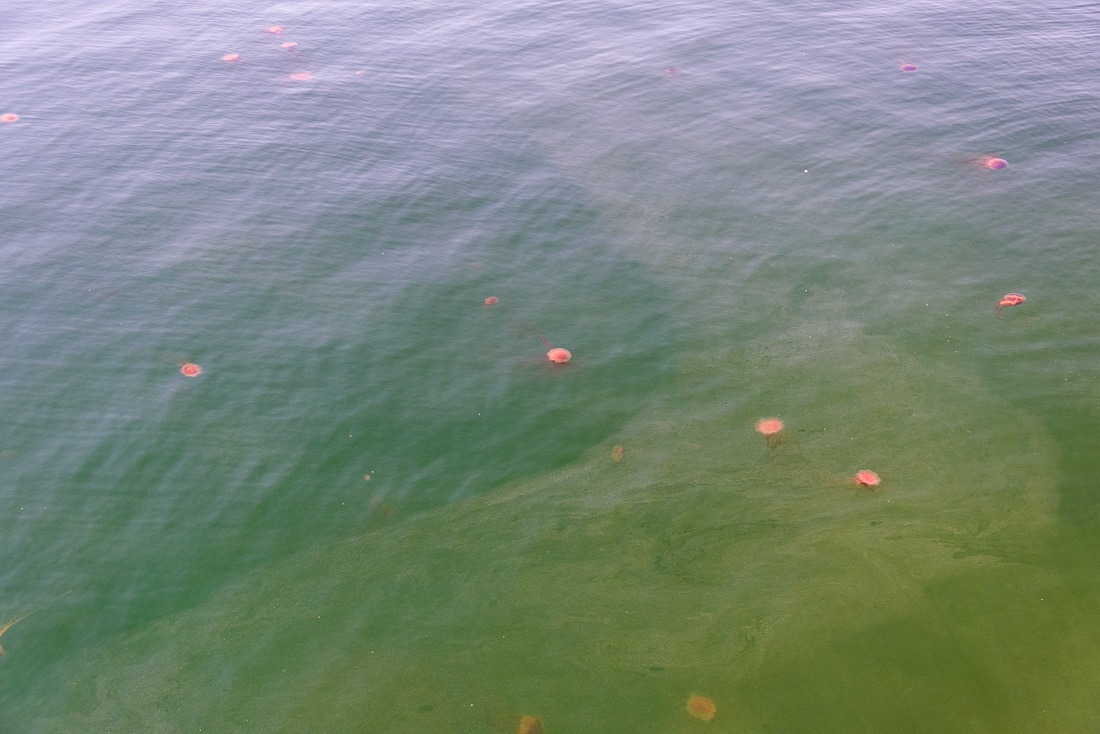 All in the family All in the family