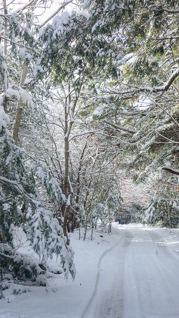 Medway, on the wild side Medway, on the wild side