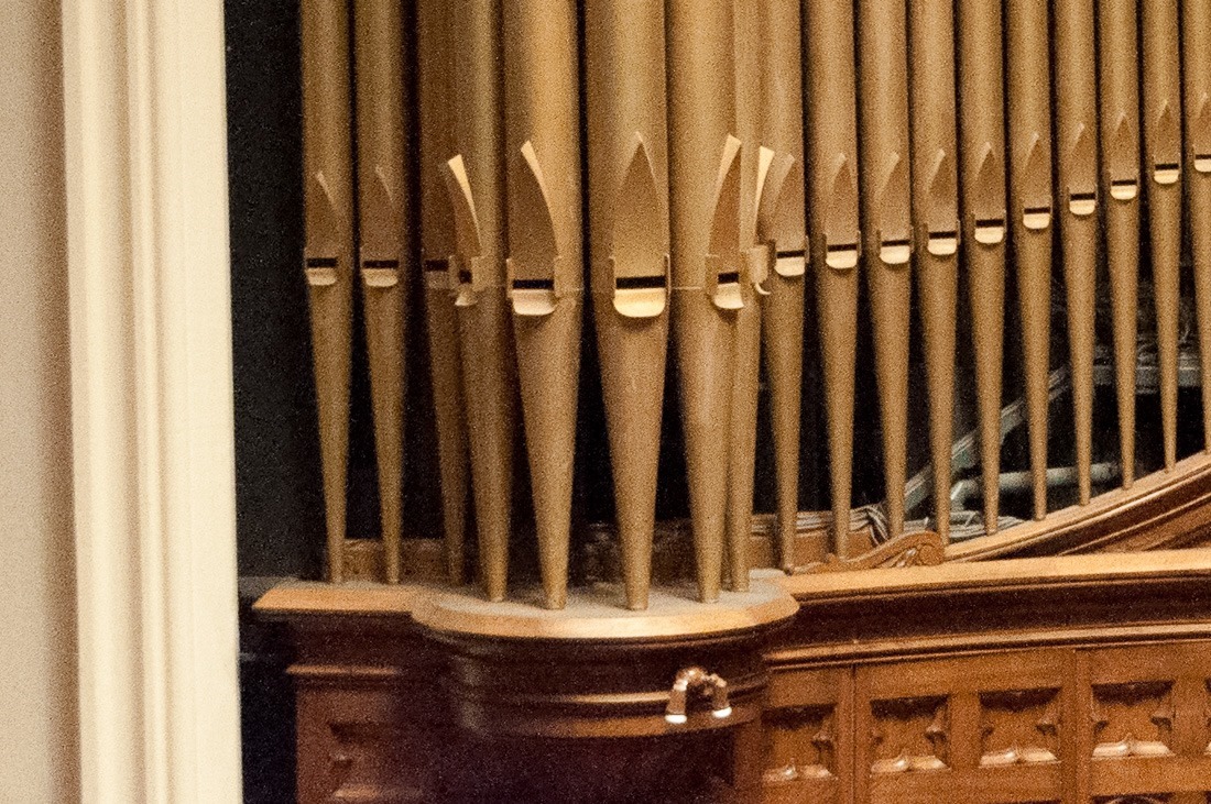 20100309-DSC_1153 20100309-DSC_1153