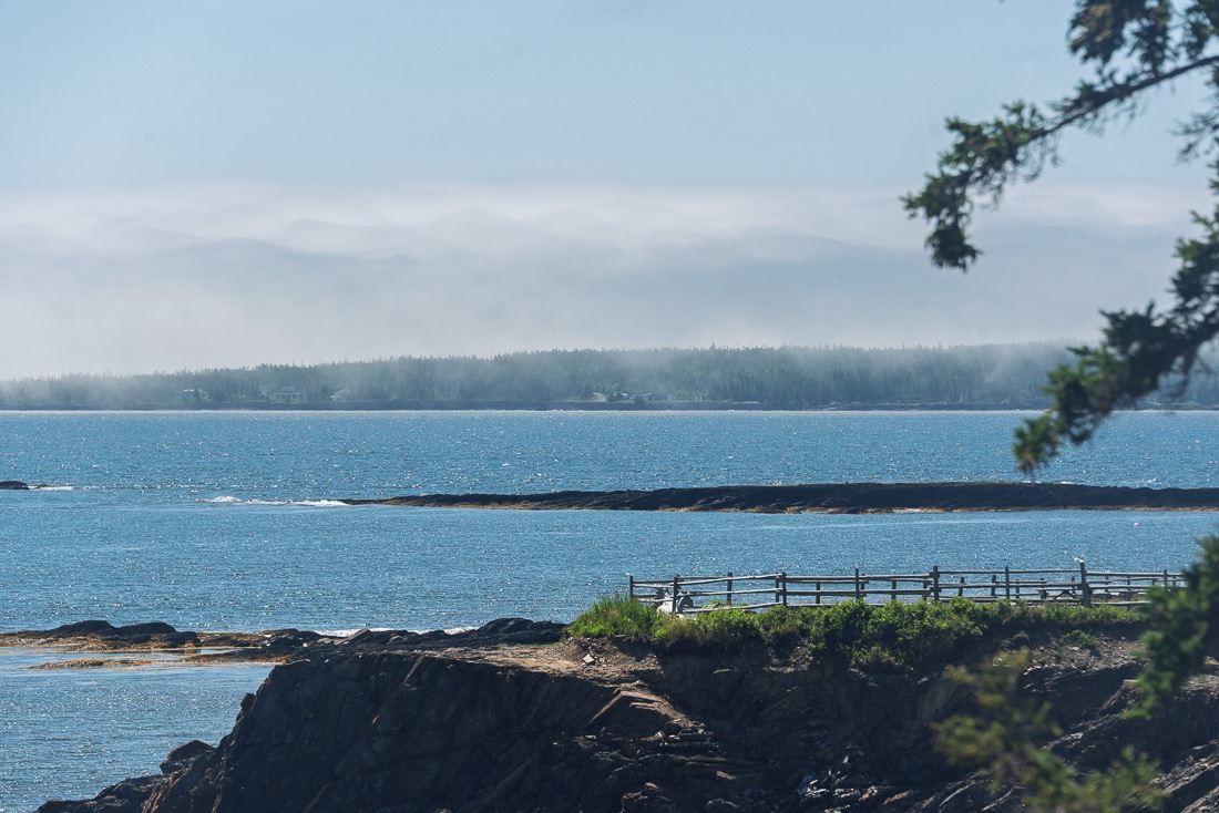 Your choice of protection