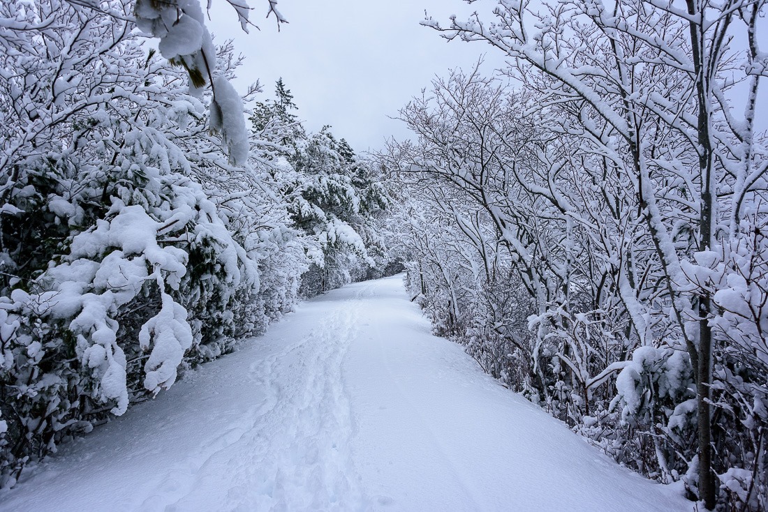 Frozen in time Frozen in time