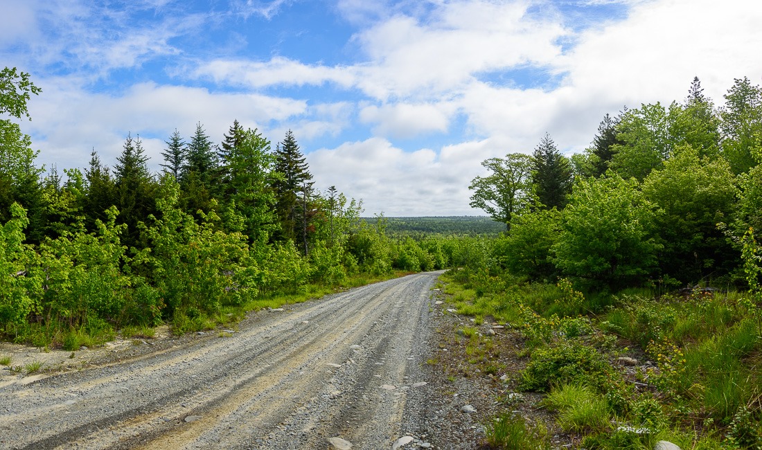 A quiet place A quiet place