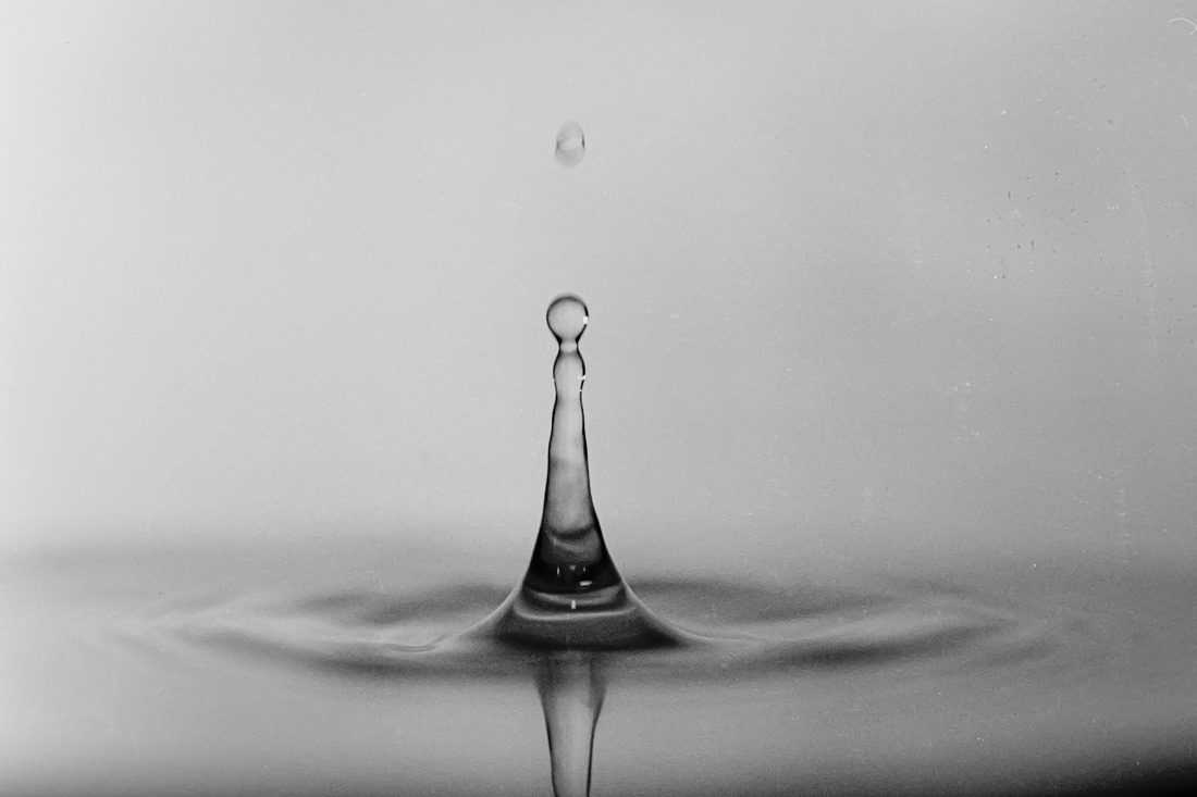 Photographical prowess (1982) Photographical prowess (1982)