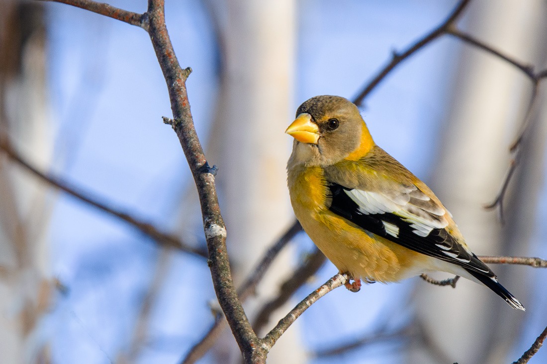 Never had this one before… Never had this one before…