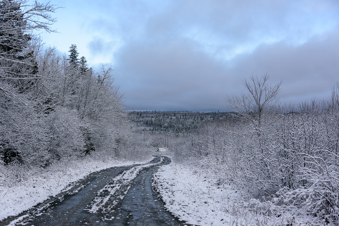 The road to Social Media fame The road to Social Media fame