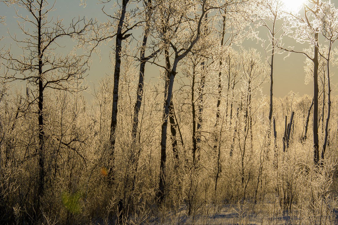 Very quiet Very quiet