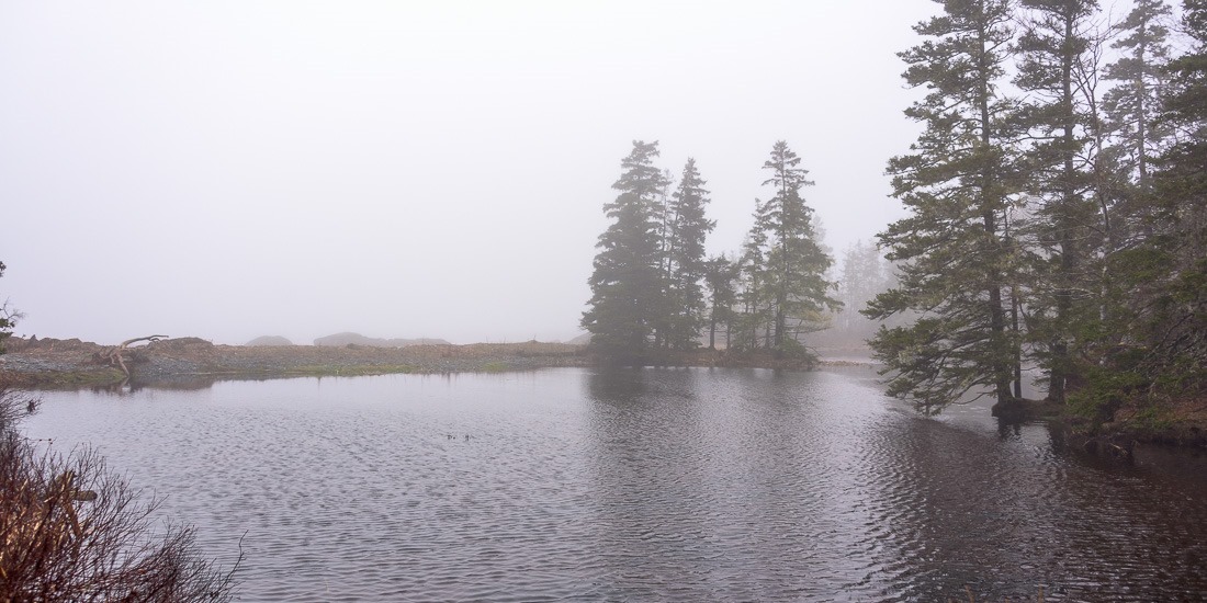 Disoriented Disoriented