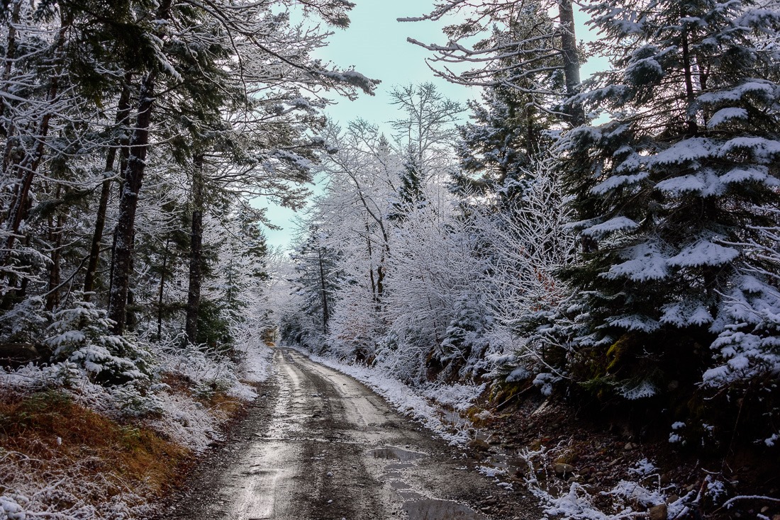 Nothing to see or shoot Nothing to see or shoot