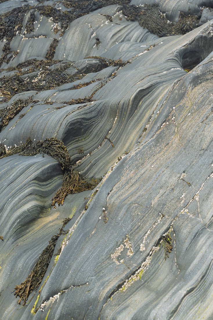 Rock sediment Rock sediment