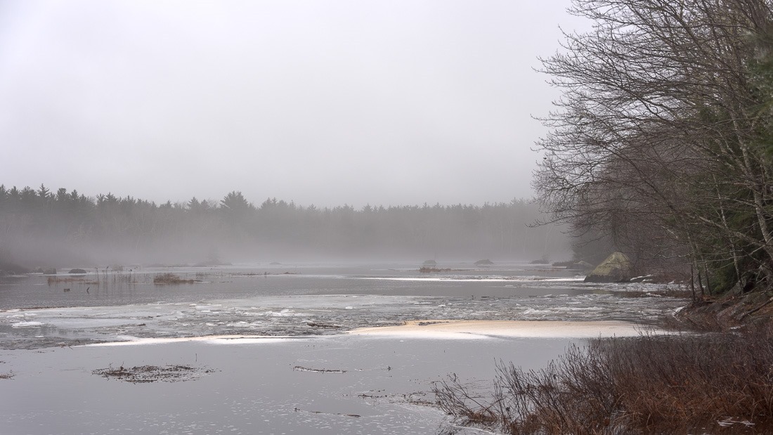 Moody New Year Moody New Year