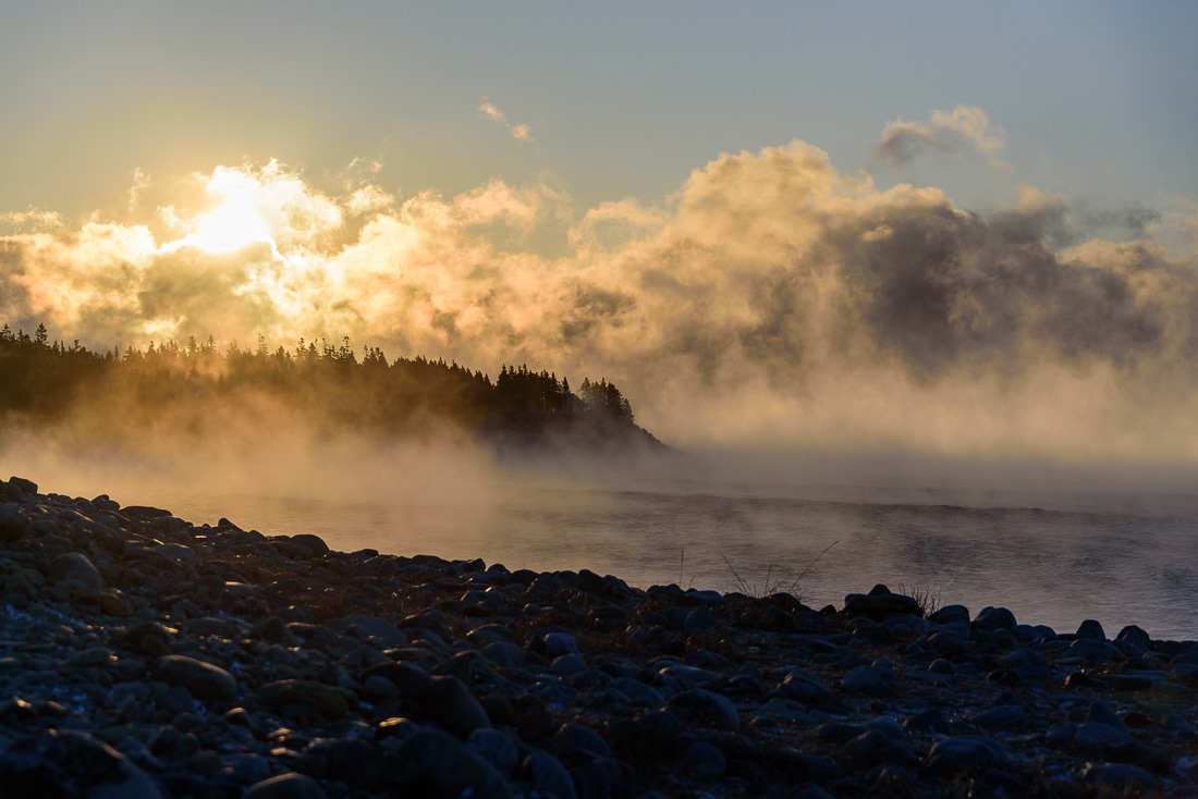 No foggy idea No foggy idea