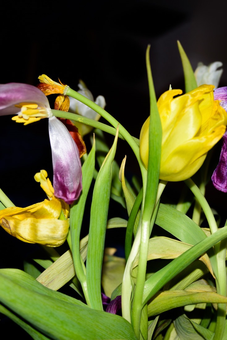 All entangled thought All entangled thought