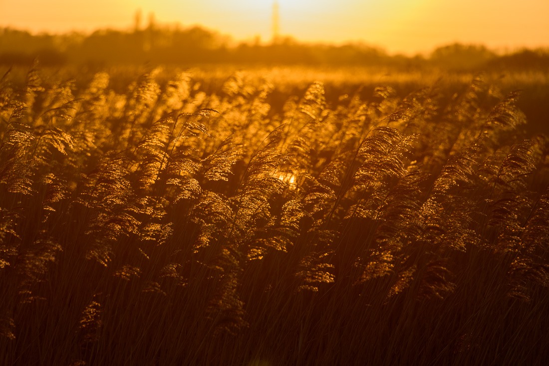 Dawning of knowledge Dawning of knowledge