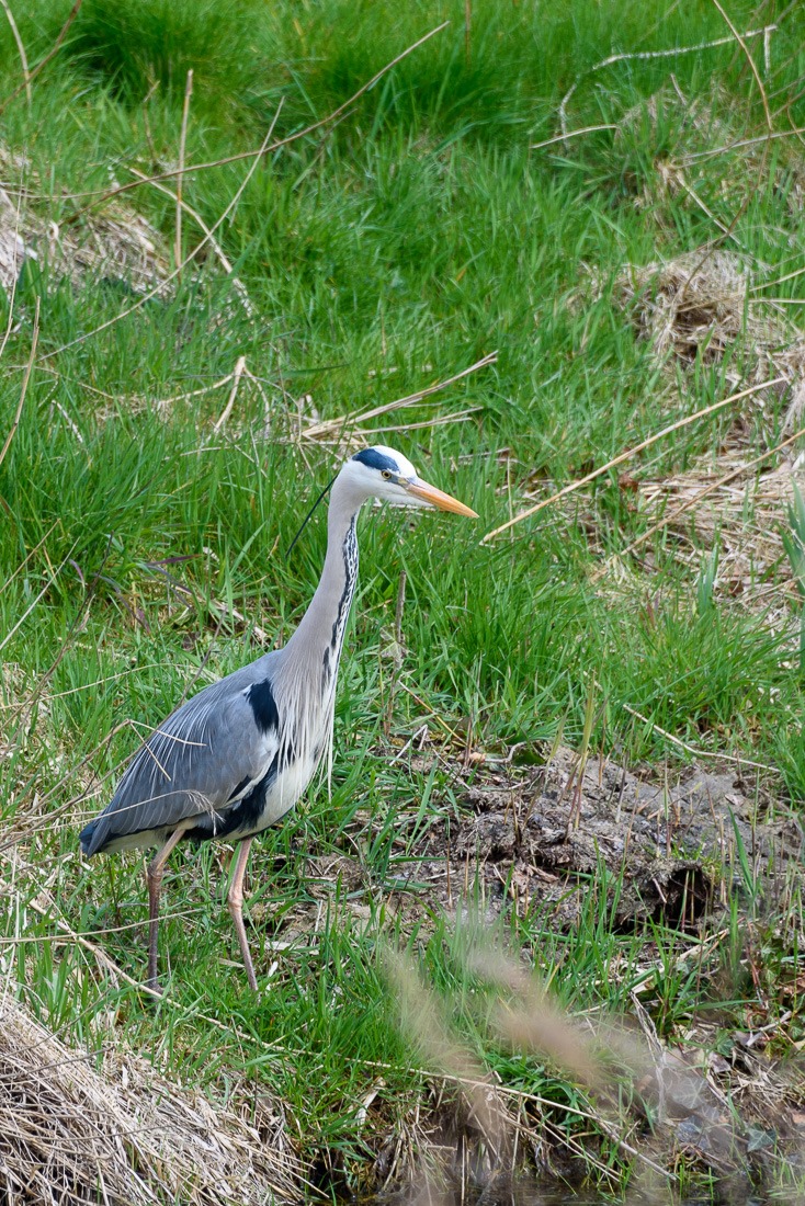 Wondering if knowledge can be stolen somehow Wondering if knowledge can be stolen somehow