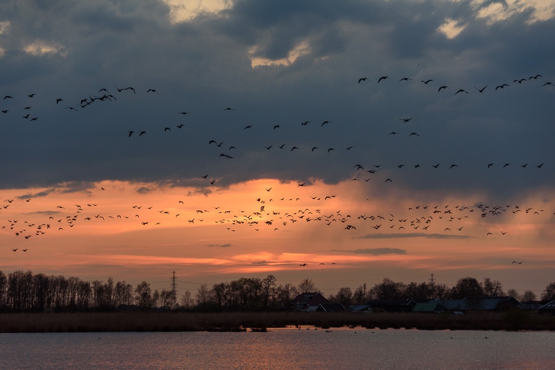 Taking flight Taking flight