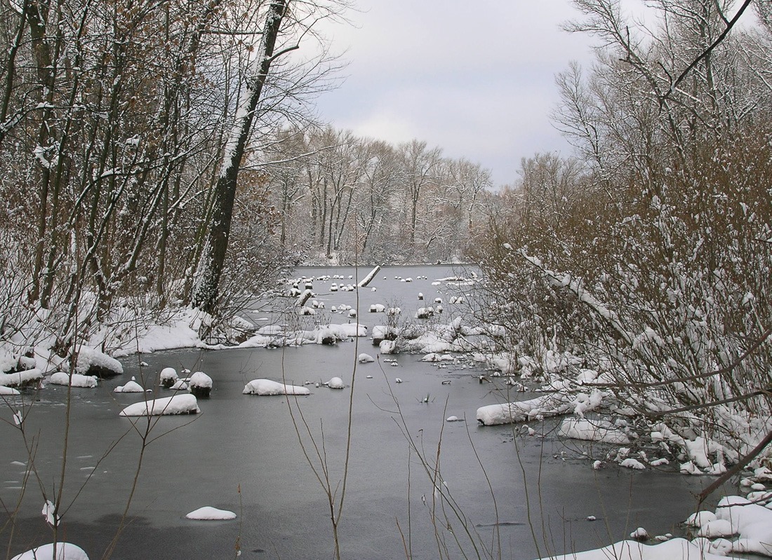 20051204-DSCN0588 20051204-DSCN0588