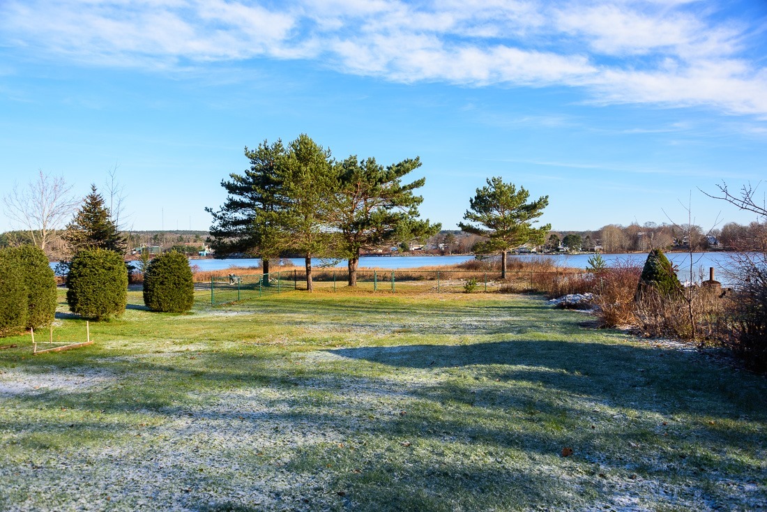 20211205-DSC_7049 20211205-DSC_7049