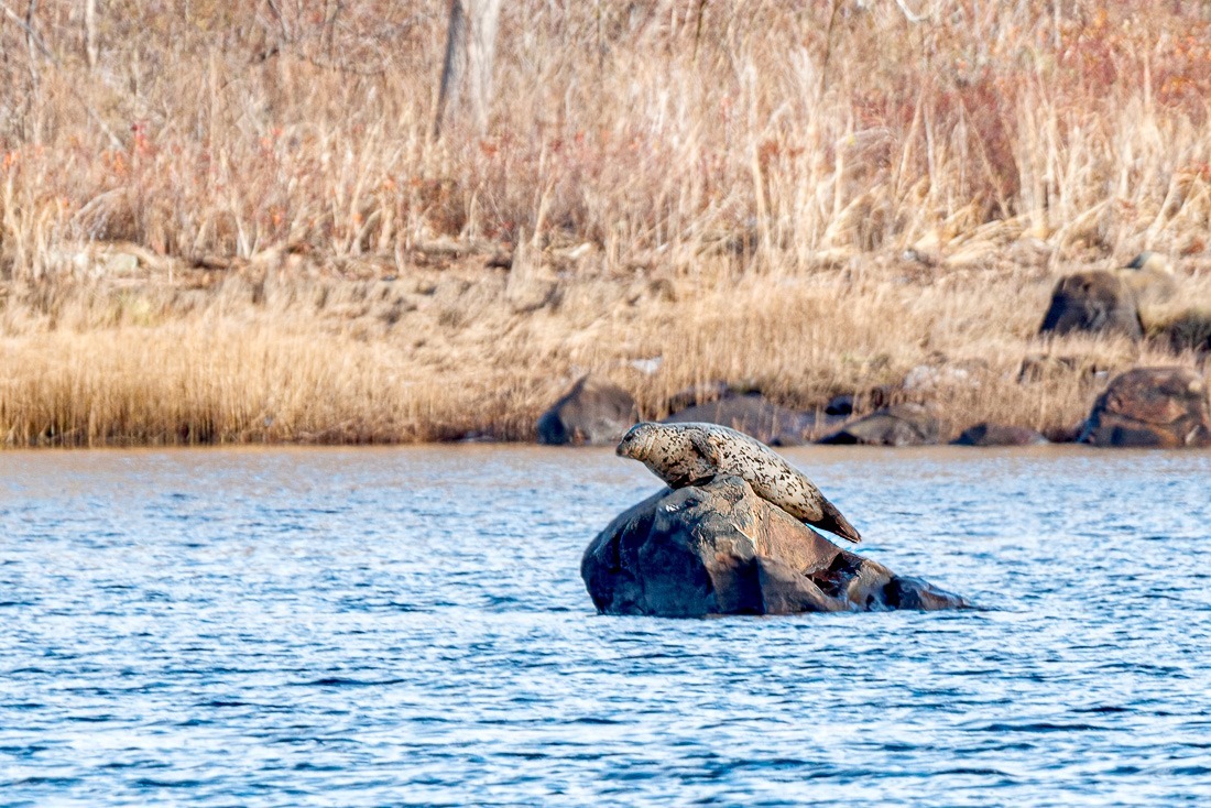 20221206-DSC_2918-Edit 20221206-DSC_2918-Edit