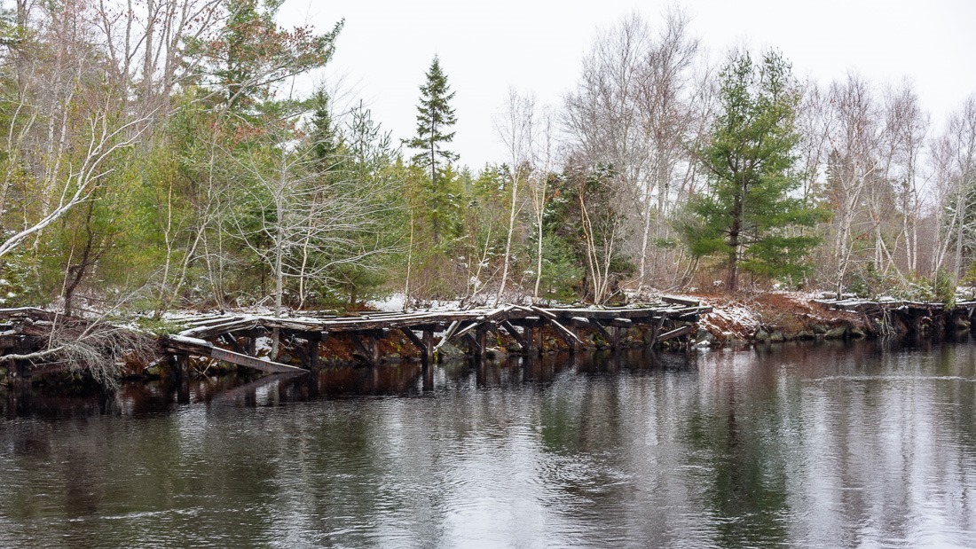 20231205-DSC_8603 20231205-DSC_8603