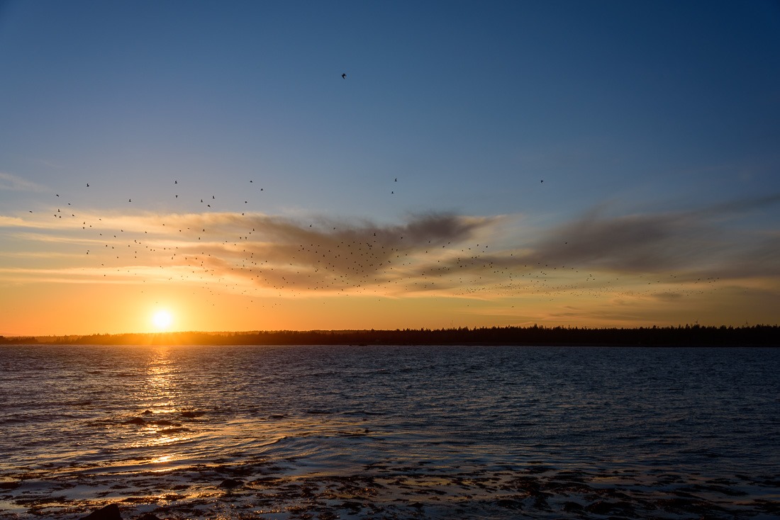 Looking warm, fingers freezing… Looking warm, fingers freezing…