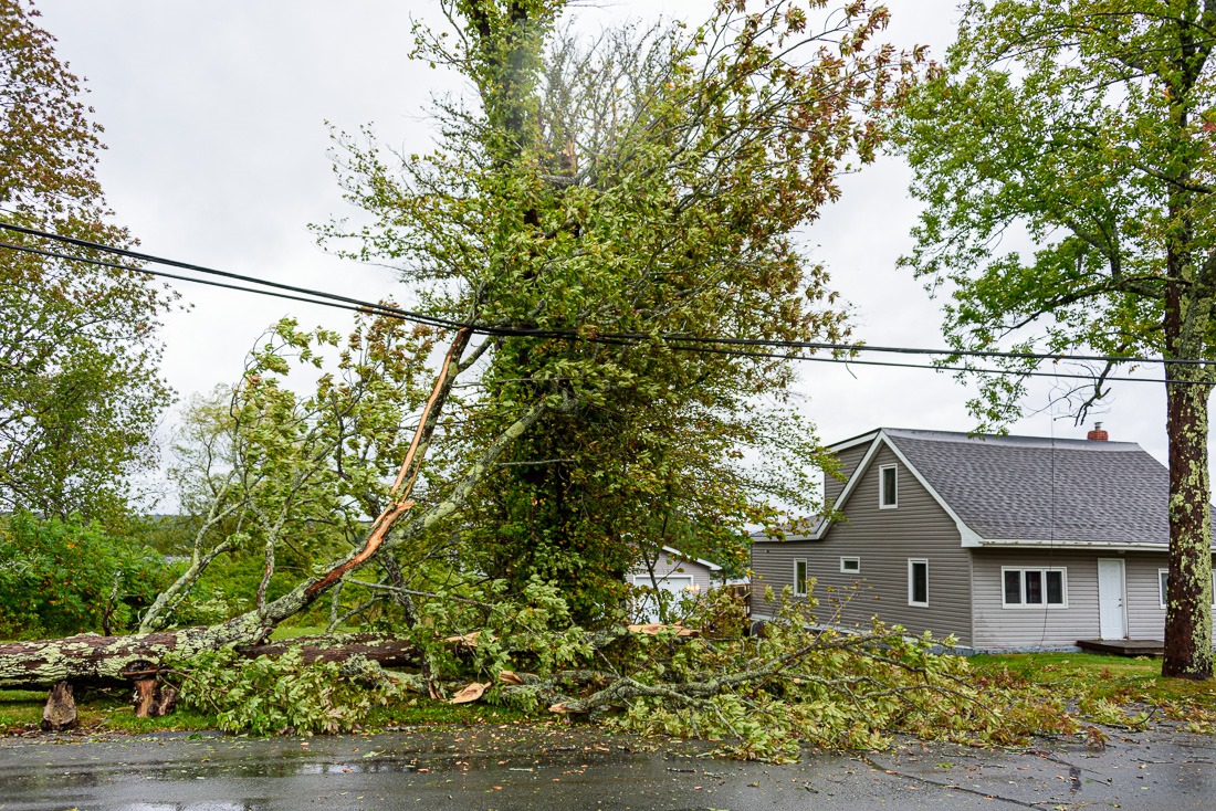 Let’s go down… Let’s go down…